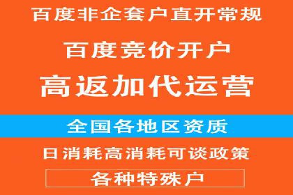 百度竞价赚钱的技巧与成功案例探讨